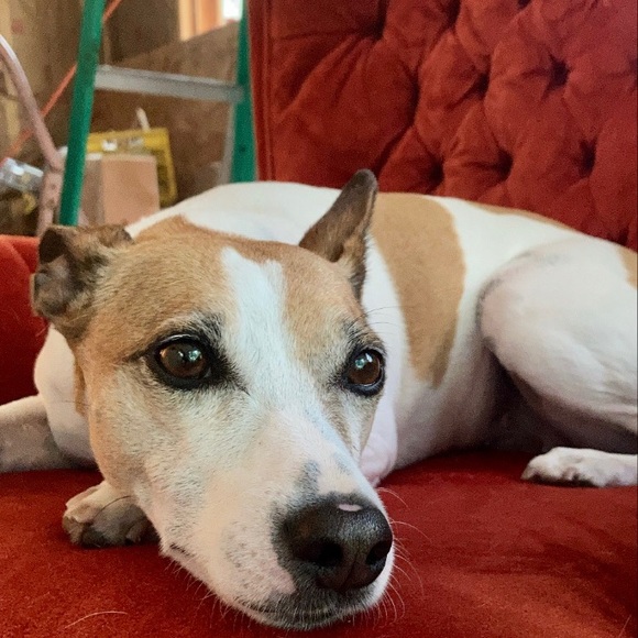 Meet your Posher, Joseph - Picture 1 of 1